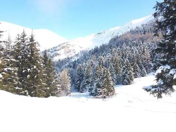 Gîte pour 8 personnes, avec balcon ainsi que vue sur le lac et vue, animaux acceptés à Saint-Honoré