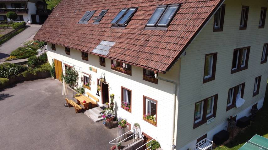 Ganze Wohnung, Ferienwohnung 3, 45 qm mit privater Terrasse, Gemeinschaftsgarten und WLAN in Triberg, Mittlerer Schwarzwald