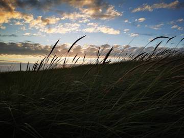 Ferieudlejning til 6 Personer i Blåvand, Vesterhavet, Billede 4