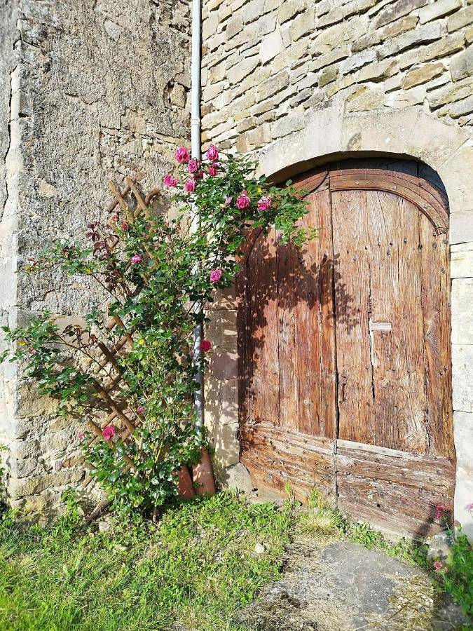 Gîte pour 4 personnes, avec vue ainsi que terrasse et jardin à Monestiés - 3