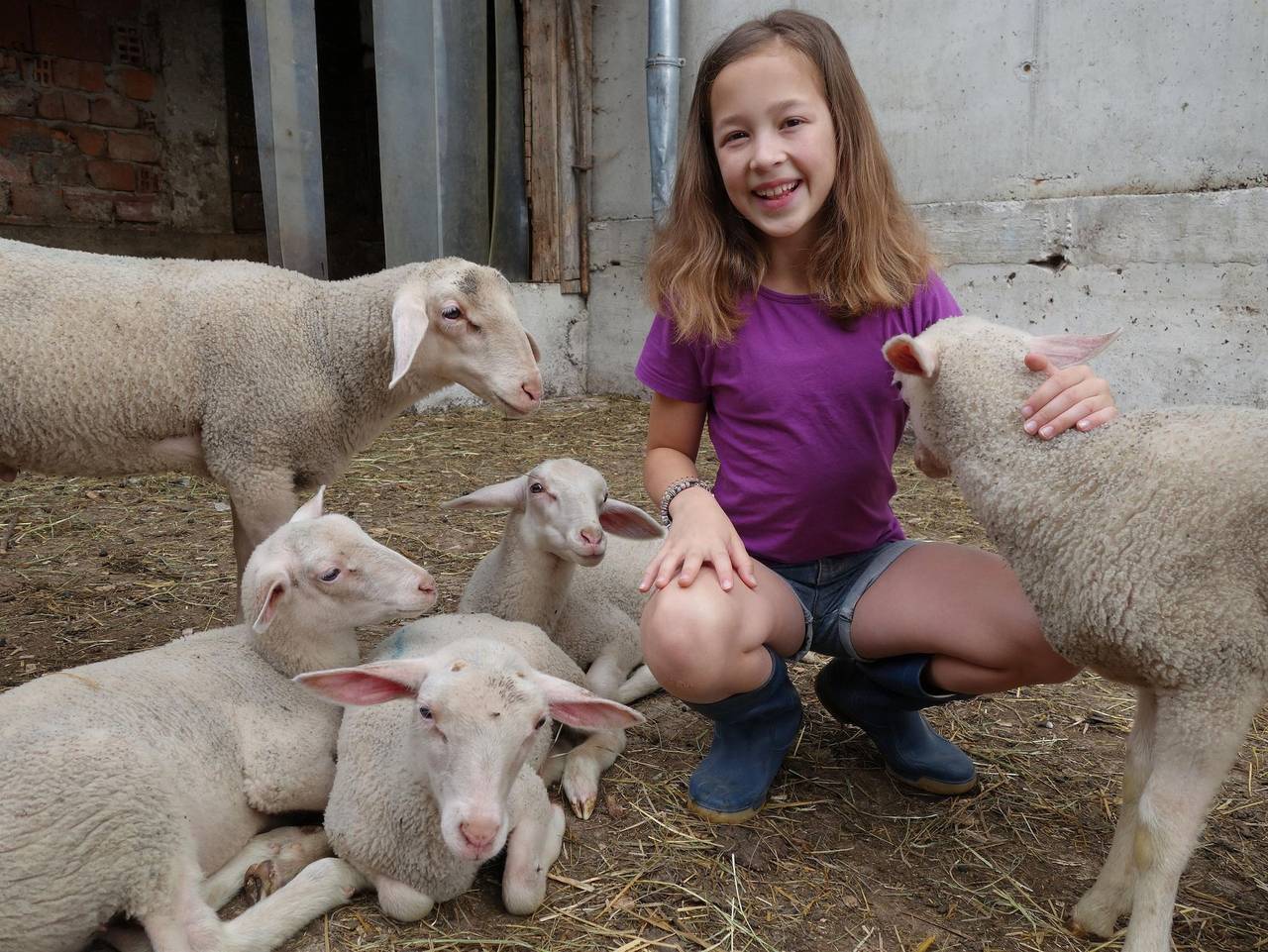 Ganze Ferienwohnung, Pferde- und Schafhof Klinser - Apartment "Kleine Familie" in Vorderstoder, Totes Gebirge