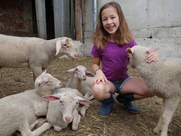 Bauernhof für 3 Personen in Vorderstoder, Steyr-Kirchdorf, Bild 1
