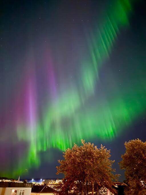 Location de vacances pour 6 personnes, avec jardin et vue, animaux acceptés dans Narvik - 2