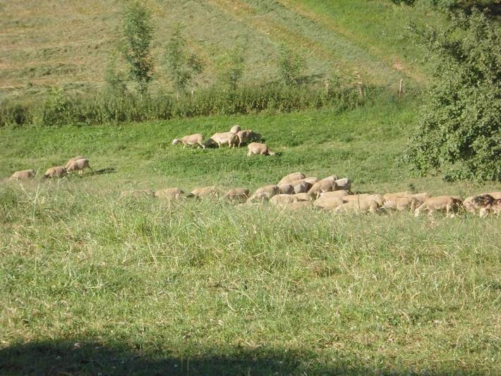 Hôtel pour 2 personnes, avec terrasse à Villefranche-d'Albigeois - 3