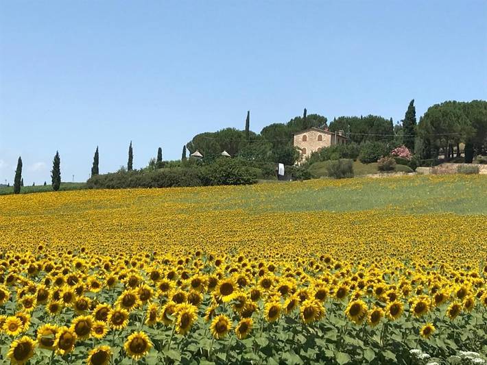 B&b per 2 persone, con Terrazza e Giardino nonché Piscina e Panorama a Corciano