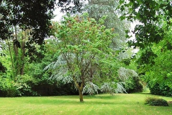 Location de vacances pour 12 personnes, avec piscine et jardin à Le Fleix - 2