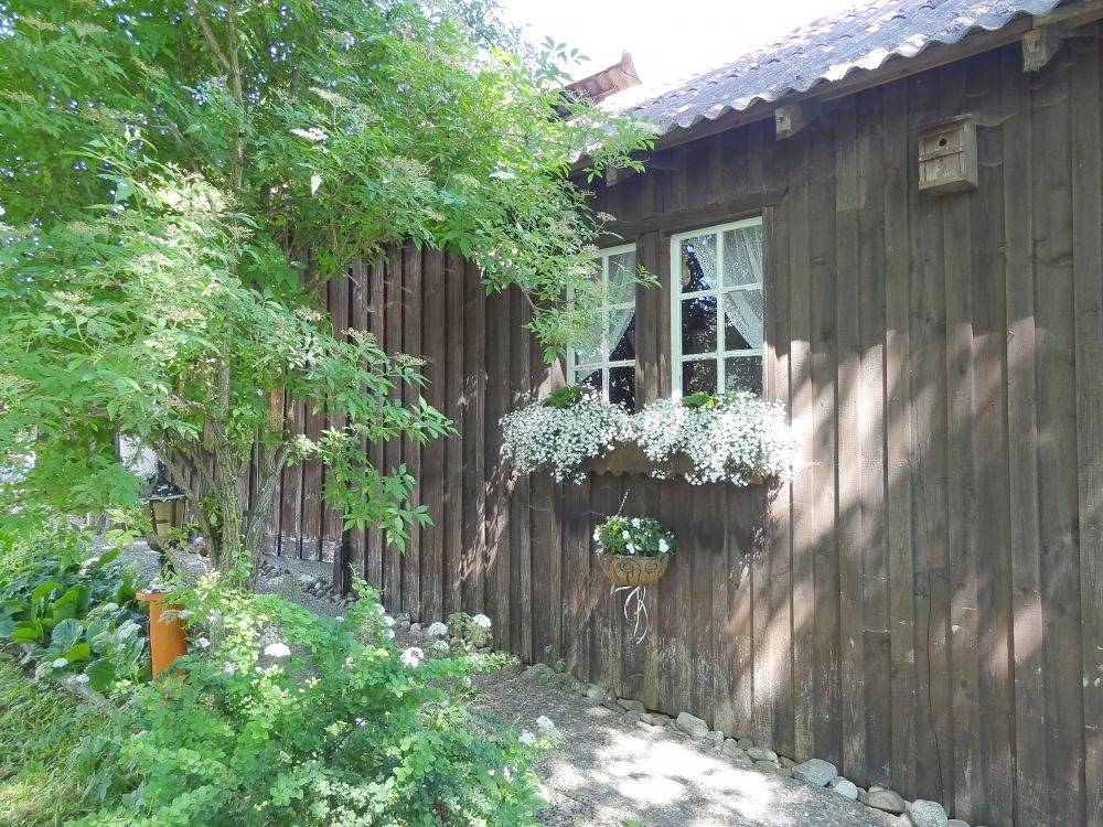 Ganze Ferienwohnung, Landhaus Löwenzahn - Pusteblume im 2.Og / Dg in Unteregg, Bayerisch Schwaben