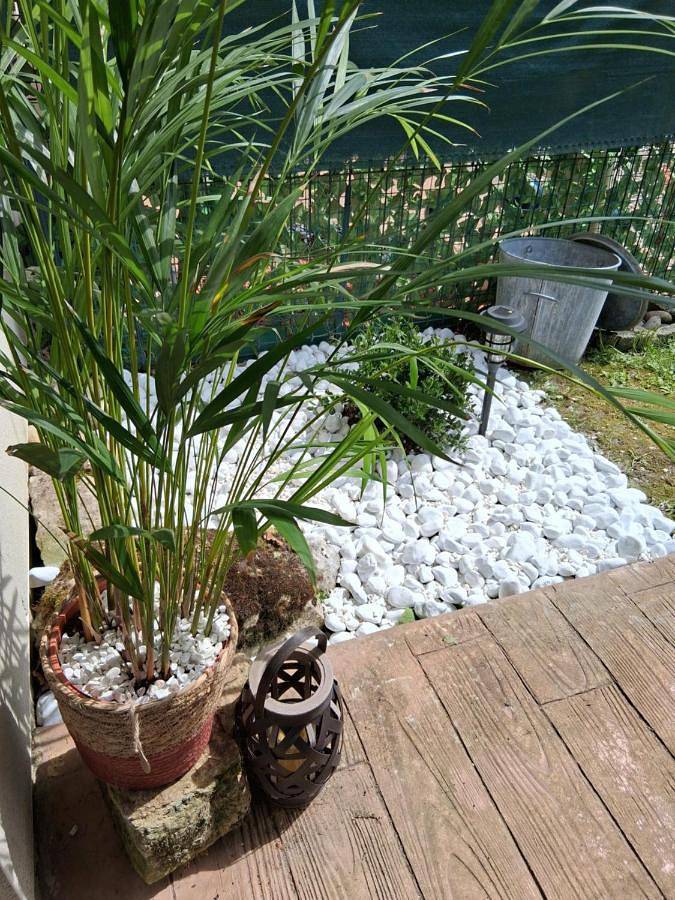 Gîte pour 3 personnes, avec balcon à Vittel - 3
