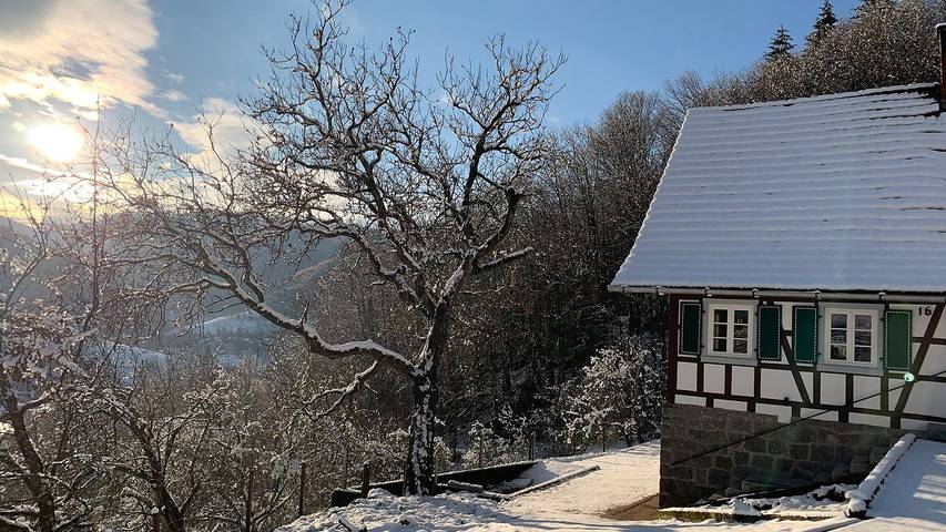 Ferienhaus für 10 Personen, mit Terrasse und Sauna sowie Whirlpool und Garten in Ottenhöfen im Schwarzwald