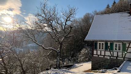 Ferienhaus für 10 Personen, mit Terrasse und Sauna sowie Whirlpool und Garten in Ottenhöfen im Schwarzwald
