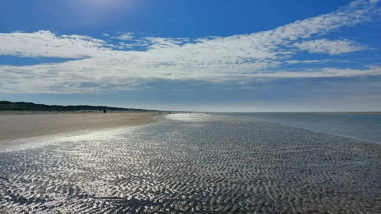 Ferienhaus für 6 Personen (45 m²) in Blåvand in Blåvand, Varde (Danmark)