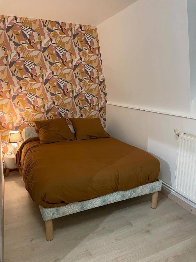 Gîte pour 6 personnes, avec Terrasse et Jardin à Annœullin - 4