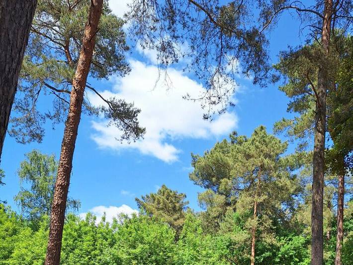 Location de vacances pour 4 personnes dans Région d'Anvers - 4