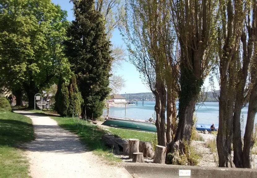 Ganze Ferienwohnung, Ferienwohnung Angela - A. Fickenscher u. D. Barth - 2-Zimmer-Fewo, Erdgeschoss, 50 m² in Reichenau, Untersee