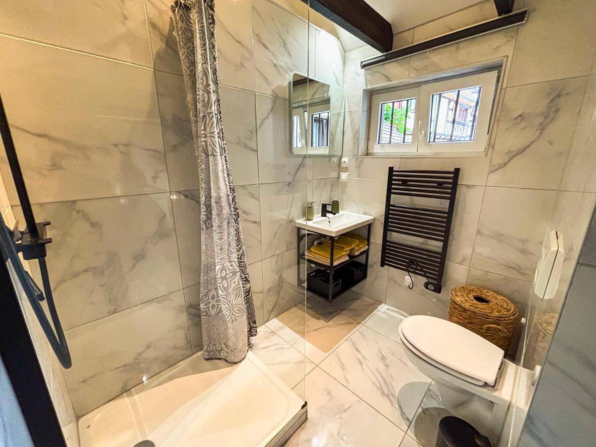 Appartement entier, One-Bedroom Apartment in Obernai, Région de Sélestat-Erstein