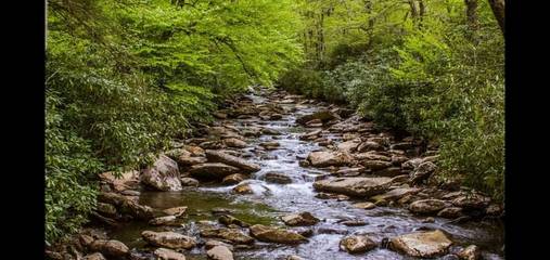 Log Cabin for 10 Guests in Blue Ridge Mountains, North Carolina, Picture 2