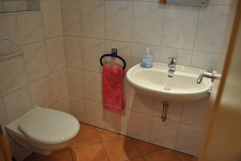 Ganze Wohnung, Ferienwohnung Schauinsland 80qm, 2 Schlafräume, max. 4 Personen , 1 - 4 Personen in Horben, Südschwarzwald