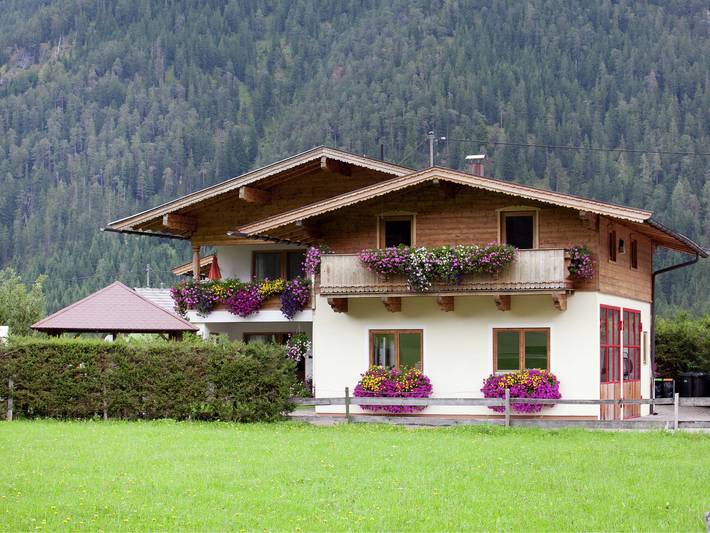 Vakantieappartement voor 6 personen, with Terras and Tuin as well as Zwembad in Waidring