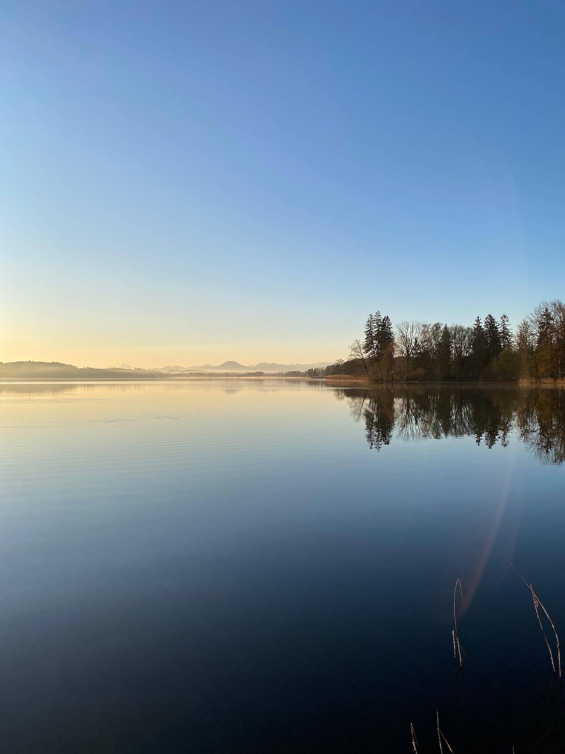 Ganze Ferienwohnung, Vital Wohnen - Ferienwohnung 90 qm mit zwei separaten Schlafzimmern in Petting, Rupertiwinkel