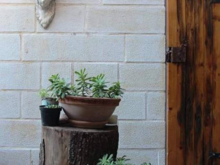 Location de vacances pour 2 personnes, avec jardin à Budva - 4