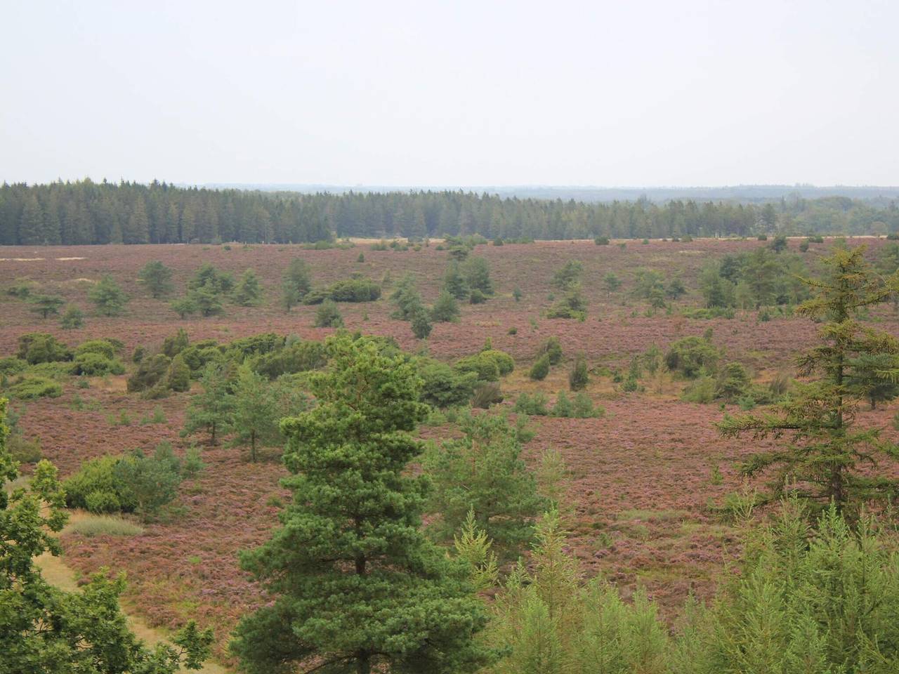 Feriehus i Midtjylland in Hovborg, Vejen