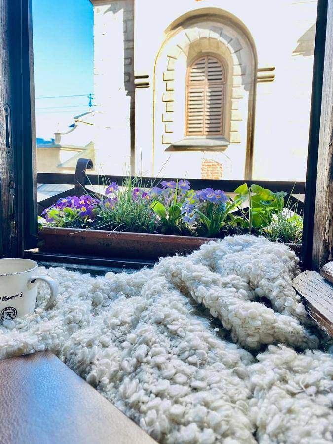 Ganze Wohnung, Lviv -Apart Вірменська14 Центр не далеко від ж д вокзалу Звітні документи in Lviv, Oblast Lemberg