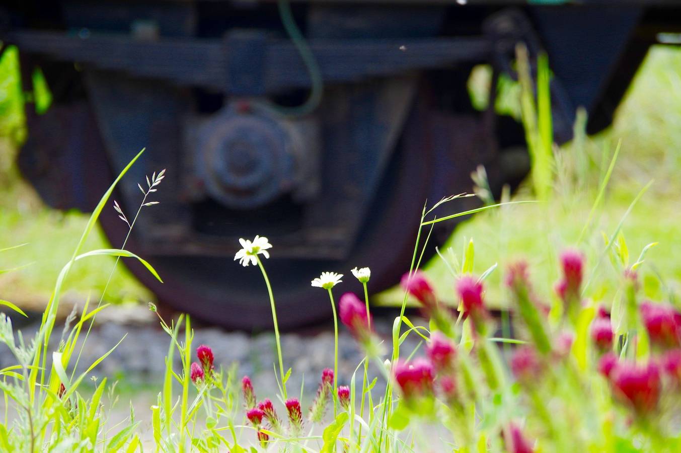 Ferienhaus in Rügen ab 126€ pro Nacht