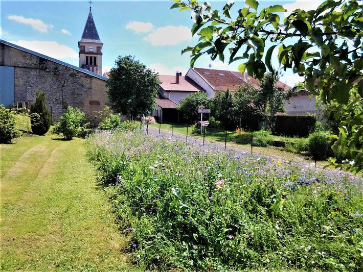Gîte pour 6 personnes, avec jardin dans Meurthe-et-Moselle - 2