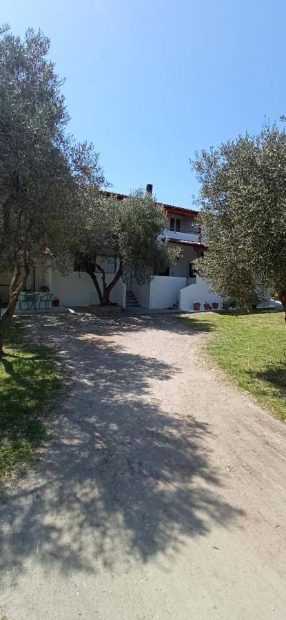 Ganze Wohnung, Deluxe Apartment in Sarti, Sithonia Halbinsel