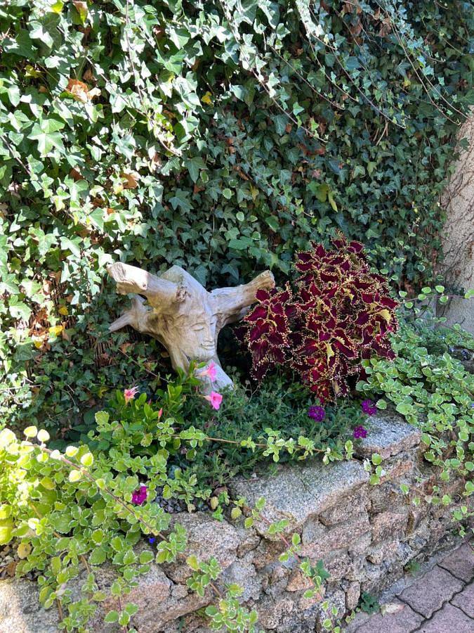 Location de vacances pour 5 personnes, avec piscine ainsi que jardin et terrasse à Bersac-sur-Rivalier - 2