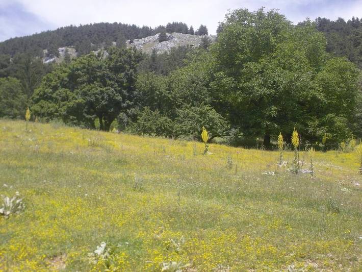 Location de vacances pour 2 personnes, avec jardin à Pescasseroli - 3