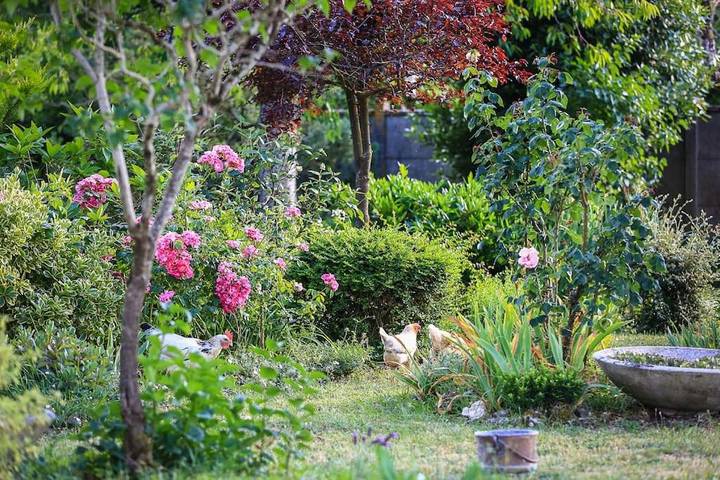 Location de vacances pour 5 personnes, avec vue et jardin à Saint-Dyé-sur-Loire - 4