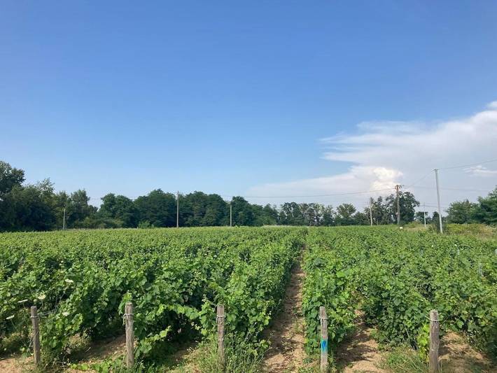 Location de vacances pour 15 personnes, avec terrasse ainsi que jardin et vue, animaux acceptés à Beaulieu-sur-Loire - 2