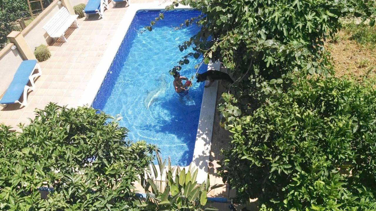 Ganze Wohnung, Apartamento Mar y Montaña in Argentona, Costa del Maresme