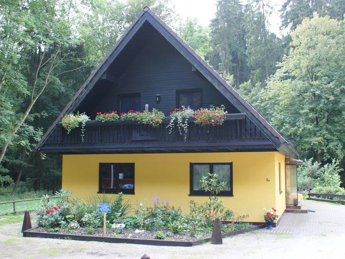 Ferienhaus für 45 Personen, mit Garten und Balkon, kinderfreundlich in Bad Sachsa - 2