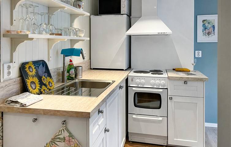 Ferienhaus für 2 Personen, mit Garten, mit Haustier in Smaland - 3