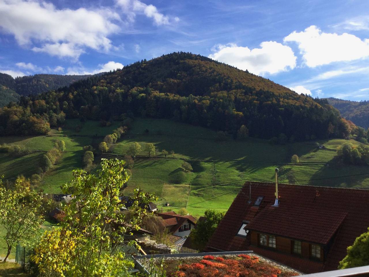 Ganze Ferienwohnung, Erikas Haus - Ferienwohnung Laitschenbach, 55qm, 1 Schlafraum, Balkon, max. 4 Personen, 1.Og in Obermünstertal, Münstertal