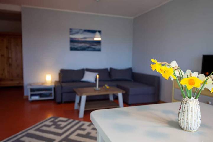 Ferienwohnung für 4 Personen, mit Garten und Terrasse, mit Haustier - 1