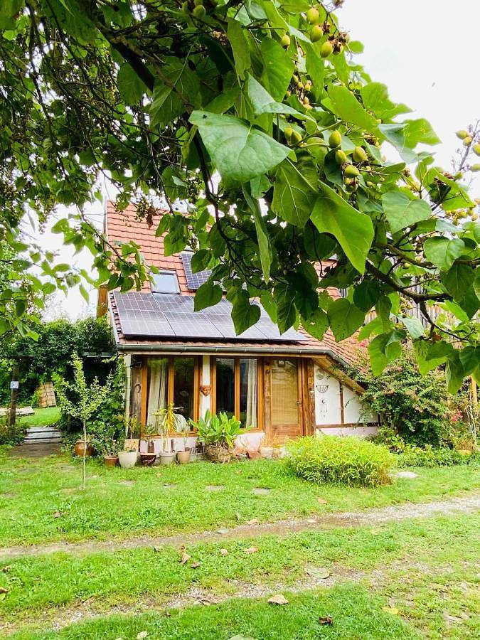 Location de vacances pour 8 personnes, avec vue et piscine ainsi que jardin et balcon à La Celle-sous-Gouzon - 4