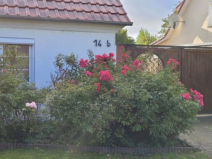 Ferienwohnung für 2 Personen, mit Garten in Altefähr - 4