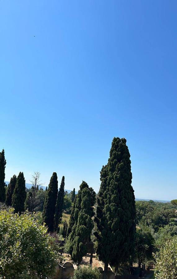 Appartamento intero, One-Bedroom Apartment in Bolgheri, Castagneto Carducci