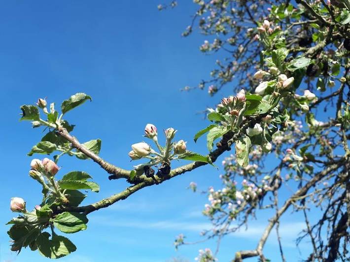 Location de vacances pour 14 personnes, avec vue sur le lac ainsi que jardin et vue à Neuville-lès-Decize