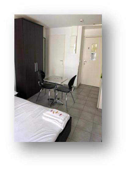 Superior Apartment (4 Adults) in Grenoble, Isère