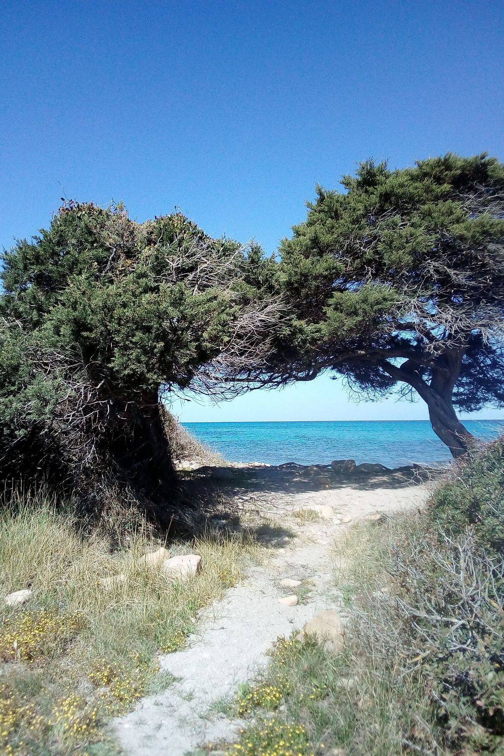 Appartamento intero, Janna e Mare in La Caletta, Provincia di Nuoro