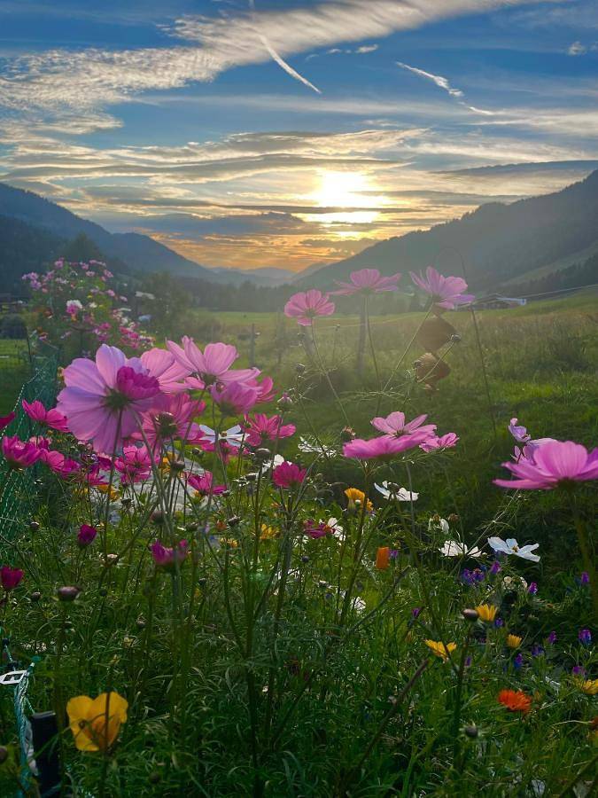 Gîte pour 4 personnes, avec sauna ainsi que vue et jardin, animaux acceptés à Balderschwang - 3