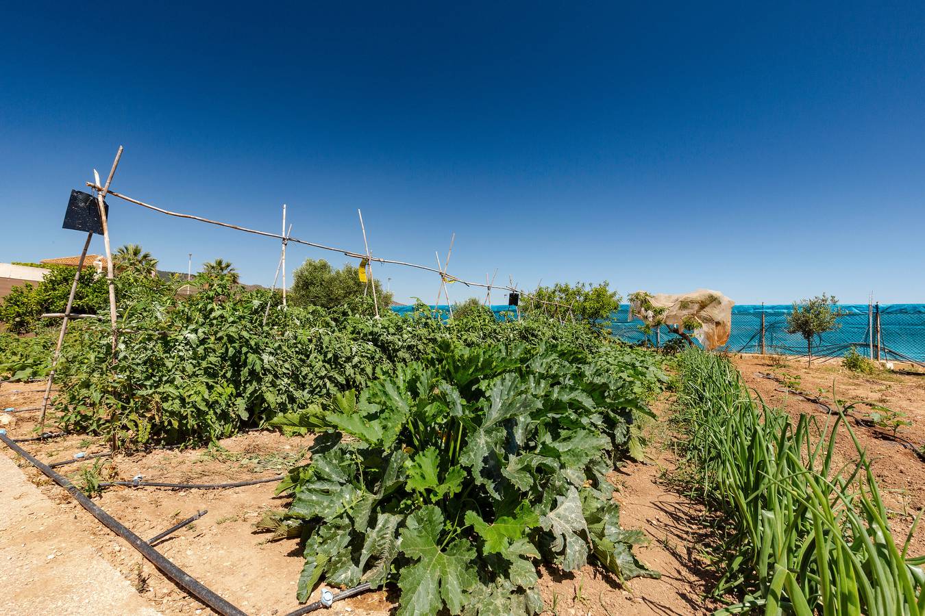 Villa 'Calblanque' con vistas al mar, Wi-Fi y aire acondicionado in Cartagena, Costa Cálida
