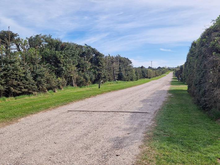 Ferienhaus für 8 Personen, mit Sauna und Terrasse, kinderfreundlich in Løkken - 4