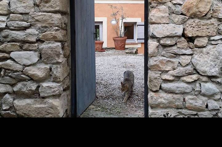 Gîte pour 5 personnes, avec jardin et balcon dans Office De Tourisme De Sederon
