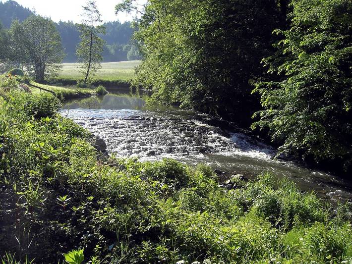 Hotel für 2 Personen, mit Garten und Balkon sowie Sauna, kinderfreundlich in Thurmansbang - 2