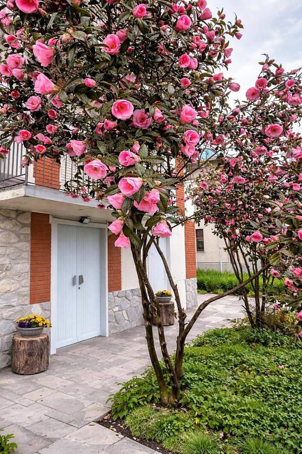 Gîte pour 4 personnes, avec Balcon et Terrasse ainsi que Jardin et Vue à Novare